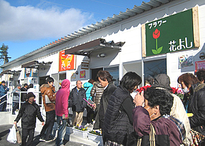 仮設店舗「七の市商店街」設置・運営サポート 仮設店舗「七の市商店街」設置・運営サポート